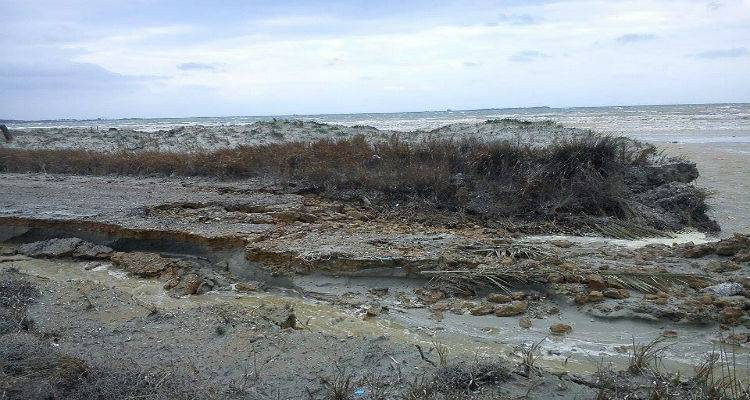 Στη Λήμνο μέλη της WWF Ελλάδας