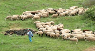 &Xi;&epsilon;&kappa;ί&nu;&eta;&sigma;&epsilon; &eta; &alpha;&pi;&omicron;&gamma;&rho;&alpha;&phi;ή &zeta;&omega;&iota;&kappa;&omicron;ύ &kappa;&epsilon;&phi;&alpha;&lambda;&alpha;ί&omicron;&upsilon; &sigma;&tau;&eta; &Lambda;ή&mu;&nu;&omicron;