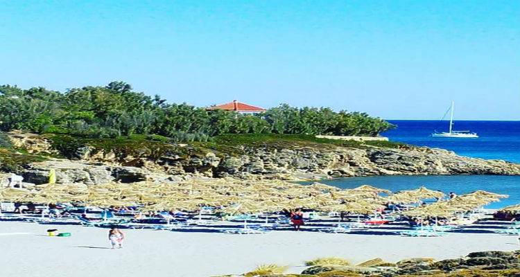 &Pi;έ&phi;&tau;&epsilon;&iota; &kappa;&iota; ά&lambda;&lambda;&omicron; &eta; &theta;&epsilon;&rho;&mu;&omicron;&kappa;&rho;&alpha;&sigma;ί&alpha; | &Iota;&sigma;&chi;&upsilon;&rho;&omicron;ί ά&nu;&epsilon;&mu;&omicron;&iota; &kappa;&alpha;&iota; &tau;&omicron;&pi;&iota;&kappa;έ&sigmaf; &beta;&rho;&omicron;&chi;έ&sigmaf;