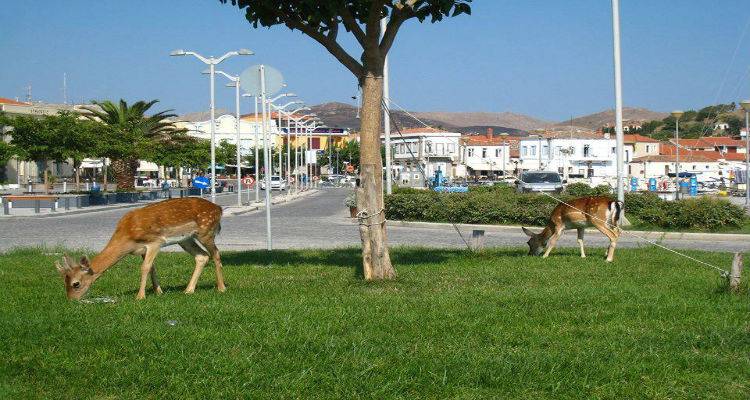 &Sigma;&tau;&eta; &Lambda;ή&mu;&nu;&omicron; έ&rho;&chi;&epsilon;&tau;&alpha;&iota; &tau;&omicron; Attica Reisen