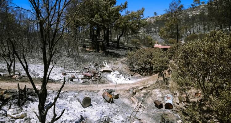 &Phi;&omega;&tau;&iota;έ&sigmaf; &sigma;&tau;&eta; &Chi;ί&omicron;: &Epsilon;&nu;&tau;&omicron;&pi;ί&sigma;&tau;&eta;&kappa;&epsilon; &epsilon;&mu;&pi;&rho;&eta;&sigma;&tau;ή&sigmaf; &alpha;&pi;ό &pi;&rho;ό&theta;&epsilon;&sigma;&eta; &kappa;&alpha;&iota; &kappa;&alpha;&tau;' &epsilon;&xi;&alpha;&kappa;&omicron;&lambda;&omicron;ύ&theta;&eta;&sigma;&eta; | &Sigma;&chi;&eta;&mu;&alpha;&tau;ί&sigma;&tau;&eta;&kappa;&epsilon; &delta;&iota;&kappa;&omicron;&gamma;&rho;&alpha;&phi;ί&alpha;