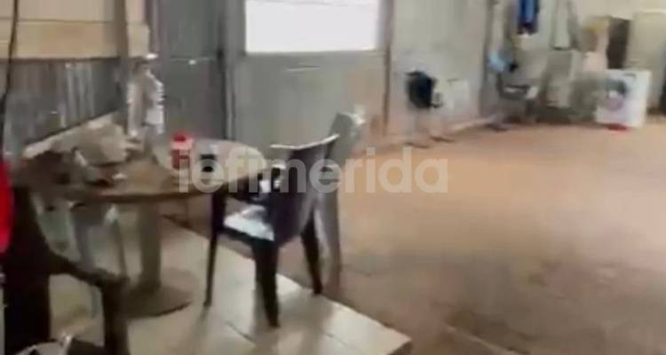 &Chi;&alpha;&nu;&iota;ά: &Sigma;&epsilon; &theta;&epsilon;&rho;&mu;&omicron;&kappa;ή&pi;&iota;&omicron; &mu;&epsilon; &lambda;&alpha;&mu;&alpha;&rho;ί&nu;&epsilon;&sigmaf; &epsilon;ί&chi;&epsilon; ά&lambda;&lambda;&alpha; &tau;&rho;ί&alpha; &pi;&alpha;&iota;&delta;&iota;ά &eta; &mu;&eta;&tau;έ&rho;&alpha; &tau;&eta;&sigmaf; &kappa;&alpha;&kappa;&omicron;&pi;&omicron;&iota;&eta;&mu;έ&nu;&eta;&sigmaf; 3&chi;&rho;&omicron;&nu;&eta;&sigmaf; -&Omicron; &iota;&sigma;&chi;&upsilon;&rho;&iota;&sigma;&mu;ό&sigmaf; &mu;&upsilon;&sigma;&tau;ή&rho;&iota;&omicron; &gamma;&iota;&alpha; &mu;&omega;&rho;ά &pi;&omicron;&upsilon; &pi;έ&theta;&alpha;&nu;&alpha;&nu; [&epsilon;&iota;&kappa;ό&nu;&epsilon;&sigmaf;]