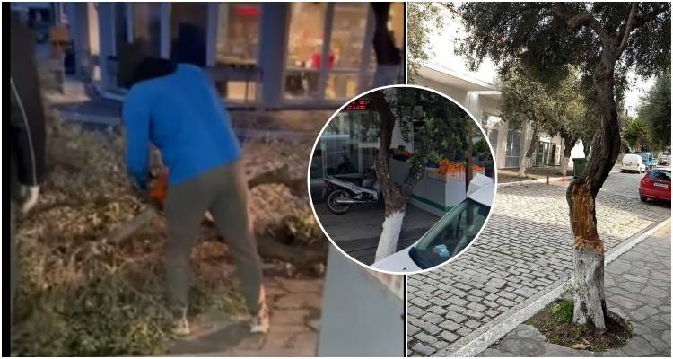 Μύρινα: Πτώση μεγάλου κλαδιού στο Τρίφωτο (video)