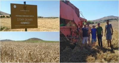 Salamousas Agrifood: Συγκομιδή καλλιεργητικής περιόδου 2019-20 και απολογισμός