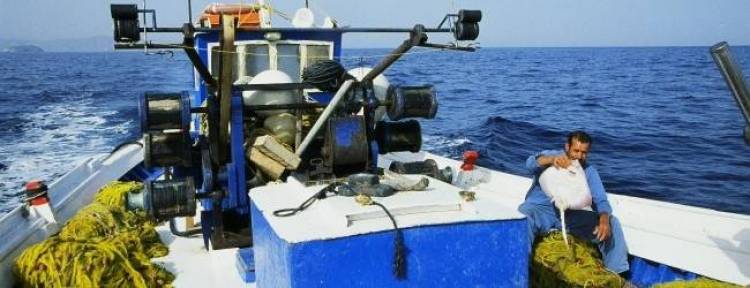 Ξεκίνησε η υποβολή αιτήσεων  για την ειδική άδεια αλιείας για τους επαγγελματίες αλιείς της Λήμνου