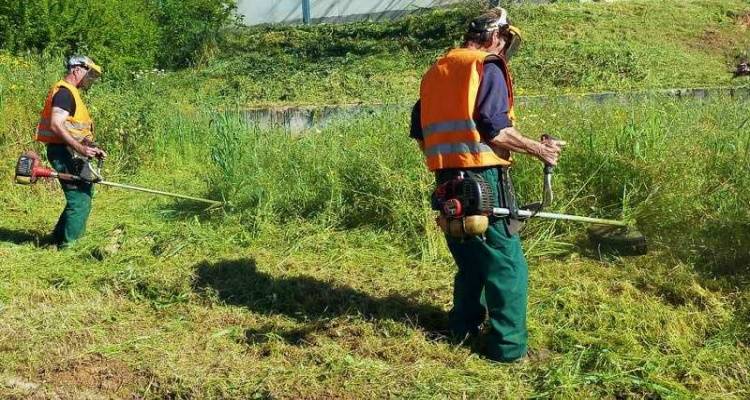 Άνοιξε και στη Λήμνο η πλατφόρμα για δηλώσεις καθαρισμού οικοπέδων