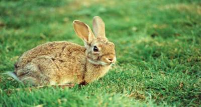 Ό&lambda;&alpha; ό&sigma;&alpha; &pi;&rho;έ&pi;&epsilon;&iota; &nu;&alpha; &gamma;&nu;&omega;&rho;ί&zeta;&epsilon;&tau;&epsilon; &gamma;&iota;&alpha; &tau;&omicron; &delta;&eta;&lambda;&eta;&tau;ή&rho;&iota;&omicron; &pi;&omicron;&upsilon; &alpha;&pi;&omicron;&delta;&epsilon;&kappa;ά&tau;&iota;&sigma;&epsilon; &tau;&alpha; &alpha;&gamma;&rho;&iota;&omicron;&kappa;&omicron;ύ&nu;&epsilon;&lambda;&alpha; &sigma;&tau;&eta; &Lambda;ή&mu;&nu;&omicron; (mp3)
