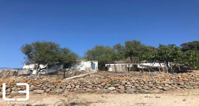 &Nu;&epsilon;&alpha;&rho;ό &zeta;&epsilon;&upsilon;&gamma;ά&rho;&iota; ά&phi;&eta;&sigma;&epsilon; &tau;&eta;&nu; &pi;ό&lambda;&eta; &kappa;&alpha;&iota; &zeta;&epsilon;&iota; &sigma;&tau;&omicron;&nu; &Alpha;&eta; &Sigma;&tau;&rho;ά&tau;&eta; &gamma;&iota;&alpha; έ&nu;&alpha; &kappa;&alpha;&lambda;ύ&tau;&epsilon;&rho;&omicron; &mu;έ&lambda;&lambda;&omicron;&nu; (video + photos)