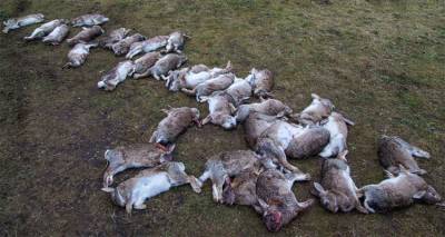 &Phi;&upsilon;&tau;&omicron;&phi;ά&rho;&mu;&alpha;&kappa;&omicron; &eta; &alpha;&iota;&tau;ί&alpha; &tau;&eta;&sigmaf; &mu;&epsilon;ί&omega;&sigma;&eta;&sigmaf; &tau;&omega;&nu; &alpha;&gamma;&rho;&iota;&omicron;&kappa;&omicron;ύ&nu;&epsilon;&lambda;&omega;&nu; &sigma;&tau;&eta; &Lambda;ή&mu;&nu;&omicron;