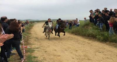 Ιπποδρομίες και φέτος στην Καλλιόπη στη μνήμη του Αγίου Γεωργίου | Το επίσημο πρόγραμμα
