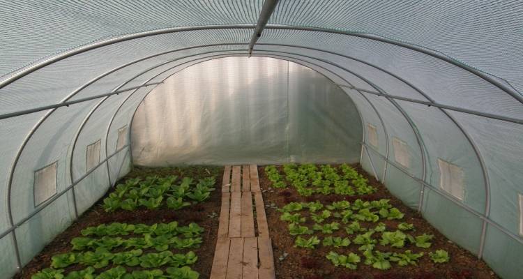 4.500.000 στο Βόρειο Αιγαίο για θερμοκήπια