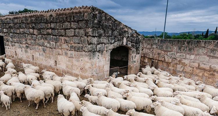 &Lambda;ή&mu;&nu;&omicron;&sigmaf;: &Alpha;&pi;ό &tau;&eta; &Delta;&epsilon;&upsilon;&tau;έ&rho;&alpha; 13/10 &xi;&epsilon;&kappa;&iota;&nu;ά&epsilon;&iota; &eta; &alpha;&pi;&omicron;&lambda;ύ&mu;&alpha;&nu;&sigma;&eta; &omicron;&chi;&eta;&mu;ά&tau;&omega;&nu; &gamma;&iota;&alpha; &tau;&eta;&nu; &pi;&rho;ό&lambda;&eta;&psi;&eta; &tau;&eta;&sigmaf; &epsilon;&upsilon;&lambda;&omicron;&gamma;&iota;ά&sigmaf; &alpha;&iota;&gamma;&omicron;&pi;&rho;&omicron;&beta;ά&tau;&omega;&nu;