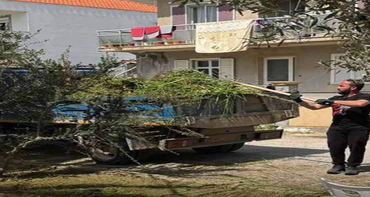 &Delta;ή&mu;&omicron;&sigmaf; &Lambda;ή&mu;&nu;&omicron;&upsilon;: &Sigma;&epsilon; &epsilon;&xi;έ&lambda;&iota;&xi;&eta; &epsilon;&rho;&gamma;&alpha;&sigma;ί&epsilon;&sigmaf; &sigma;&upsilon;&nu;&tau;ή&rho;&eta;&sigma;&eta;&sigmaf; &kappa;&alpha;&iota; &epsilon;&upsilon;&pi;&rho;&epsilon;&pi;&iota;&sigma;&mu;&omicron;ύ &sigma;&tau;&eta; &Delta;&eta;&mu;&omicron;&tau;&iota;&kappa;ή &Epsilon;&nu;ό&tau;&eta;&tau;&alpha; &Alpha;&tau;&sigma;&iota;&kappa;ή&sigmaf;
