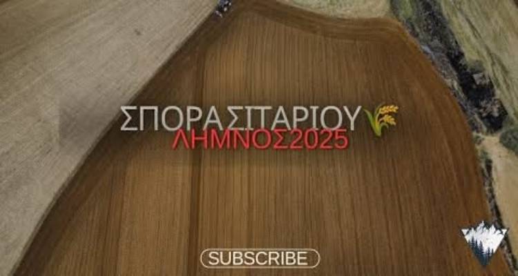 Λήμνος: Σπορά σιταριού (video)