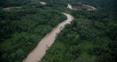 &Sigma;&pi;ά&nu;&iota;&omicron; &beta;ί&nu;&tau;&epsilon;&omicron; &alpha;&pi;ό &tau;&omicron; &Pi;&epsilon;&rho;&omicron;ύ: &Eta; &mu;&epsilon;&gamma;&alpha;&lambda;ύ&tau;&epsilon;&rho;&eta; &alpha;&nu;έ&pi;&alpha;&phi;&eta; &alpha;&pi;ό &tau;&omicron;&nu; &pi;&omicron;&lambda;&iota;&tau;&iota;&sigma;&mu;ό &phi;&upsilon;&lambda;ή, &mu;&epsilon; &alpha;&kappa;ό&nu;&tau;&iota;&alpha; &sigma;&tau;&alpha; &chi;έ&rho;&iota;&alpha; &lambda;ό&gamma;&omega; &upsilon;&lambda;&omicron;&tau;ό&mu;&omega;&nu;