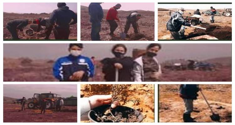 Δεντροφύτευση στο Λιβαδοχώρι | «Χτίζουμε έναν καλύτερο κόσμο για τις επόμενες γενιές»