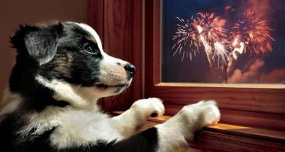 &Pi;&rho;&omicron;&sigma;&omicron;&chi;ή! &Tau;&eta;&nu; &Alpha;&nu;ά&sigma;&tau;&alpha;&sigma;&eta; &pi;&rho;&omicron;&sigma;&tau;&alpha;&tau;έ&psi;&tau;&epsilon; &tau;&alpha; &zeta;ώ&alpha; &sigma;&alpha;&sigmaf; &alpha;&pi;ό &tau;&alpha; &pi;&upsilon;&rho;&omicron;&tau;&epsilon;&chi;&nu;ή&mu;&alpha;&tau;&alpha;