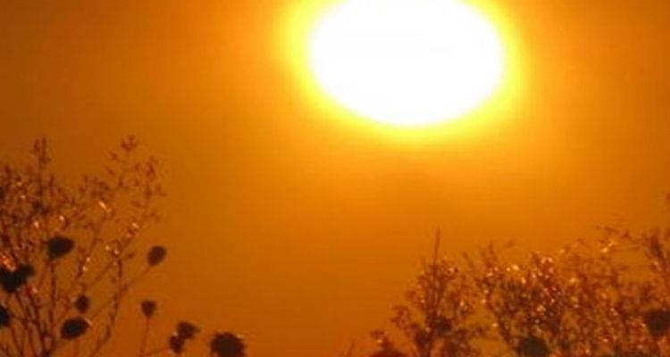 &laquo;&Mu;ί&nu;&iota;&raquo; &kappa;&alpha;ύ&sigma;&omega;&nu;&alpha;&sigmaf; &kappa;&alpha;&iota; &mu;&epsilon;&tau;ά... &beta;&rho;&omicron;&chi;έ&sigmaf;