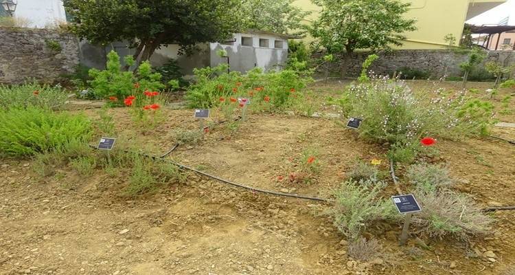 &laquo;&Omicron; &Beta;&omicron;&tau;&alpha;&nu;&iota;&kappa;ό&sigmaf; &Kappa;ή&pi;&omicron;&sigmaf; &tau;&eta;&sigmaf; &Lambda;ή&mu;&nu;&omicron;&upsilon; &alpha;&pi;&omicron;&tau;&epsilon;&lambda;&epsilon;ί &chi;ώ&rho;&omicron; &epsilon;&pi;&alpha;&phi;ή&sigmaf; &mu;&epsilon; &tau;&eta;&nu; &pi;&omicron;&lambda;&iota;&tau;&iota;&sigma;&tau;&iota;&kappa;ή &kappa;&lambda;&eta;&rho;&omicron;&nu;&omicron;&mu;&iota;ά &mu;&alpha;&sigmaf;&raquo;