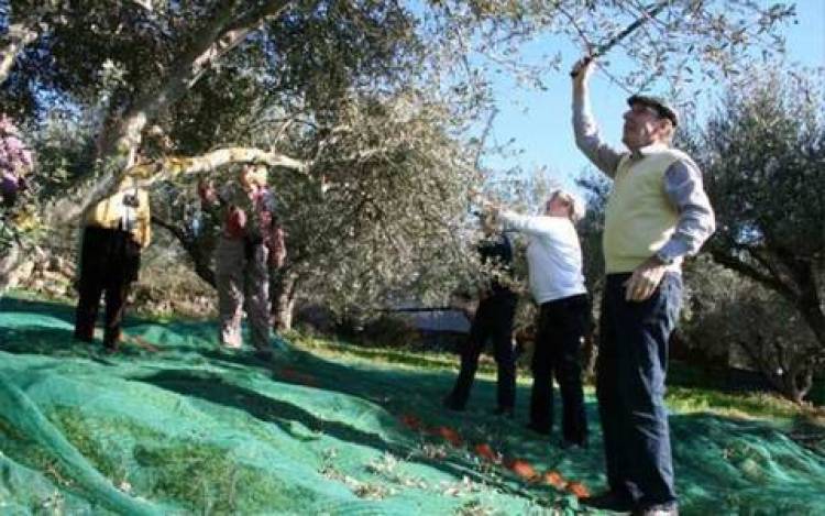 &Gamma;&epsilon;&rho;&mu;&alpha;&nu;&omicron;ί &mu;&alpha;&zeta;&epsilon;ύ&omicron;&upsilon;&nu; ...&epsilon;&lambda;&iota;έ&sigmaf; &sigma;&tau;&eta;&nu; &Kappa;&rho;ή&tau;&eta;