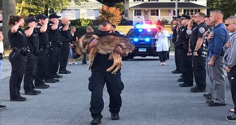 &Tau;&omicron; &tau;&epsilon;&lambda;&epsilon;&upsilon;&tau;&alpha;ί&omicron; &alpha;&nu;&tau;ί&omicron; &alpha;&sigma;&tau;&upsilon;&nu;&omicron;&mu;&iota;&kappa;&omicron;ύ &sigma;&tau;&omicron;&nu; &tau;&epsilon;&tau;&rho;ά&pi;&omicron;&delta;&omicron; &sigma;&upsilon;&nu;&epsilon;&rho;&gamma;ά&tau;&eta; &tau;&omicron;&upsilon;