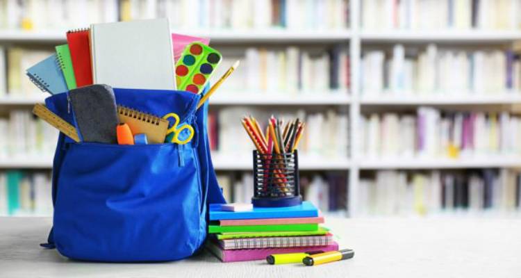 &Eta; &sigma;&pi;&omicron;&upsilon;&delta;&alpha;&iota;ό&tau;&eta;&tau;&alpha; &tau;&eta;&sigmaf; &omicron;&rho;&gamma;ά&nu;&omega;&sigma;&eta;&sigmaf; &tau;&eta;&sigmaf; &sigma;&chi;&omicron;&lambda;&iota;&kappa;ή&sigmaf; &tau;&sigma;ά&nu;&tau;&alpha;&sigmaf;