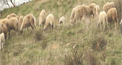 &Epsilon;&nu;&eta;&mu;&epsilon;&rho;&omega;&tau;&iota;&kappa;ή &eta;&mu;&epsilon;&rho;ί&delta;&alpha; &alpha;&pi;ό &tau;&eta;&nu; &laquo;Έ&nu;&omega;&sigma;&eta;&raquo; &sigma;&tau;&omicron; &Pi;&omicron;&rho;&tau;&iota;&alpha;&nu;&omicron;ύ