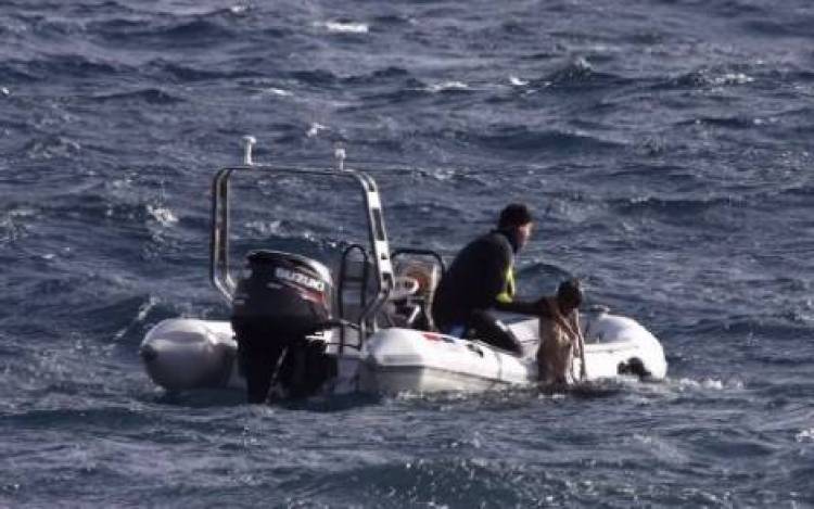 &Sigma;&tau;&omicron;&upsilon;&sigmaf; 20 &omicron;&iota; &nu;&epsilon;&kappa;&rho;&omicron;ί &mu;&epsilon;&tau;&alpha;&nu;ά&sigma;&tau;&epsilon;&sigmaf; &sigma;&tau;&eta; &Lambda;έ&sigma;&beta;&omicron;