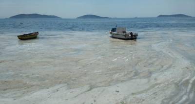 Θαλάσσια βλέννα στον Μαρμαρά - φωτ. αρχείου  © emrekrbc | Dreamstime.com