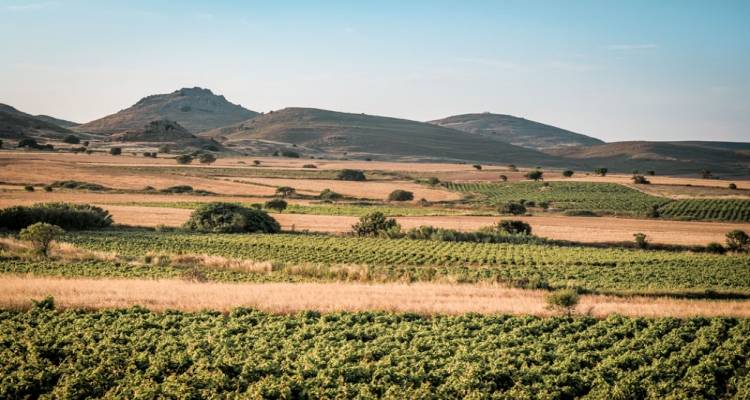Διενέργεια δημοπρασίας για την εκμίσθωση  αγρών του Δήμου Λήμνου