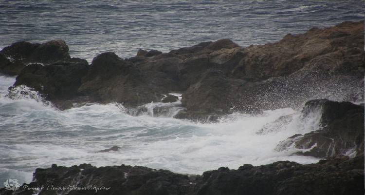 &Phi;&upsilon;&sigma;&iota;&kappa;ή &Pi;&iota;&nu;&alpha;&kappa;&omicron;&theta;ή&kappa;&eta; &Lambda;ή&mu;&nu;&omicron;&upsilon;