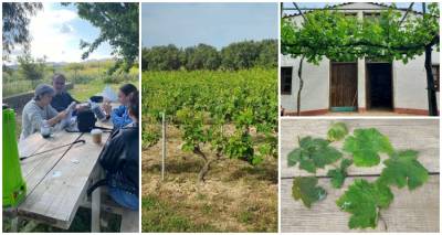 Εκπαιδευτική επίσκεψη των σπουδαστών οινολογίας της ΣΑΕΚ Λήμνου στους αμπελώνες του EVANTE ESTATE