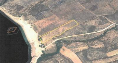 &Mu;&iota;&kappa;&rho;ή &alpha;&gamma;&gamma;&epsilon;&lambda;ί&alpha;: &Pi;&omega;&lambda;&epsilon;ί&tau;&alpha;&iota; &pi;&alpha;&rho;&alpha;&theta;&alpha;&lambda;ά&sigma;&sigma;&iota;&omicron; &alpha;&gamma;&rho;&omicron;&tau;&epsilon;&mu;ά&chi;&iota;&omicron; &sigma;&tau;&eta; &pi;&epsilon;&rho;&iota;&omicron;&chi;ή &Sigma;&kappa;ί&delta;&iota;