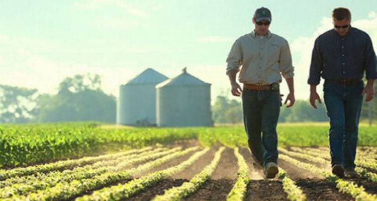 &Xi;&epsilon;&kappa;ί&nu;&eta;&sigma;&alpha;&nu; &omicron;&iota; &delta;&iota;&alpha;&delta;&iota;&kappa;&alpha;&sigma;ί&epsilon;&sigmaf; &gamma;&iota;&alpha; &tau;&eta;&nu; &chi;&omicron;&rho;ή&gamma;&eta;&sigma;&eta; &sigma;&tau;&rho;&epsilon;&mu;&mu;&alpha;&tau;&iota;&kappa;ή&sigmaf; &epsilon;&nu;ί&sigma;&chi;&upsilon;&sigma;&eta;&sigmaf; &sigma;&tau;&omicron;&upsilon;&sigmaf; &pi;&alpha;&rho;&alpha;&gamma;&omega;&gamma;&omicron;ύ&sigmaf; &tau;&eta;&sigmaf; &Lambda;ή&mu;&nu;&omicron;&upsilon;