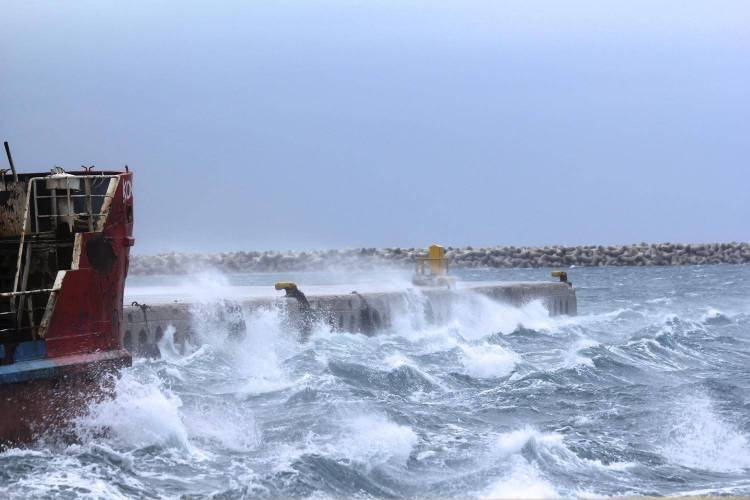 Η Lifo μαθαίνει από κοντά πως φτιάχνεται το περίφημο Λημνιό τυρί «καλαθάκι »
