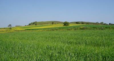 &Kappa;&alpha;&iota; ά&lambda;&lambda;&alpha; &kappa;&alpha;&lambda;ά &nu;έ&alpha;: &Tau;&omicron; &kappa;&rho;&iota;&theta;ά&rho;&iota; &Pi;&alpha;&nu;&alpha;&gamma;&iota;ά&sigmaf; &sigma;&tau;&omicron;&nu; &Epsilon;&theta;&nu;&iota;&kappa;ό &Kappa;&alpha;&tau;ά&lambda;&omicron;&gamma;&omicron; &Pi;&omicron;&iota;&kappa;&iota;&lambda;&iota;ώ&nu; &Kappa;&alpha;&lambda;&lambda;&iota;&epsilon;&rho;&gamma;&omicron;ύ&mu;&epsilon;&nu;&omega;&nu; &Phi;&upsilon;&tau;&iota;&kappa;ώ&nu; &Epsilon;&iota;&delta;ώ&nu;