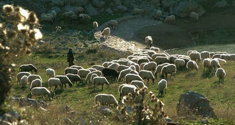 Έρχεται νέα πληρωμή για την Εξισωτική | Ξεκινάει σήμερα η προσκόμιση δικαιολογητικών