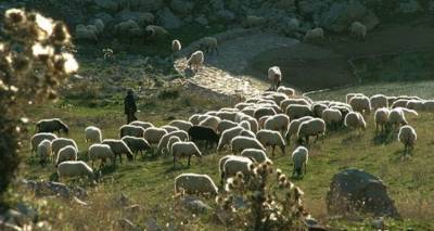 Έρχεται νέα πληρωμή για την Εξισωτική | Ξεκινάει σήμερα η προσκόμιση δικαιολογητικών