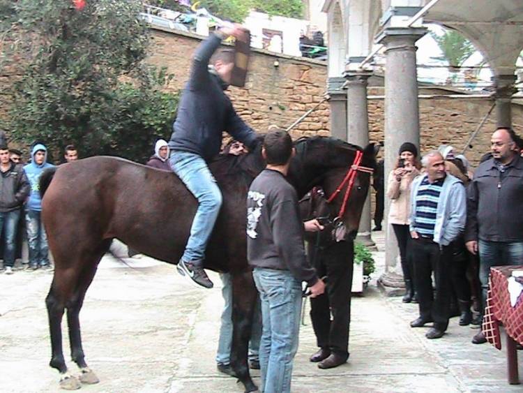 «Έτρεξαν» προς τιμήν του Πολιούχου Αγίου Δημητρίου