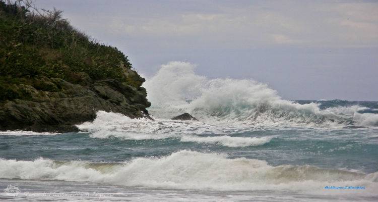 &Sigma;&upsilon;&nu;&epsilon;&chi;ί&zeta;&epsilon;&tau;&alpha;&iota; &eta; &kappa;&alpha;&kappa;&omicron;&kappa;&alpha;&iota;&rho;ί&alpha;: &Chi;&iota;ό&nu;&iota;&alpha; &kappa;&alpha;&iota; &nu;έ&alpha; &pi;&tau;ώ&sigma;&eta; &tau;&eta;&sigmaf; &theta;&epsilon;&rho;&mu;&omicron;&kappa;&rho;&alpha;&sigma;ί&alpha;&sigmaf;