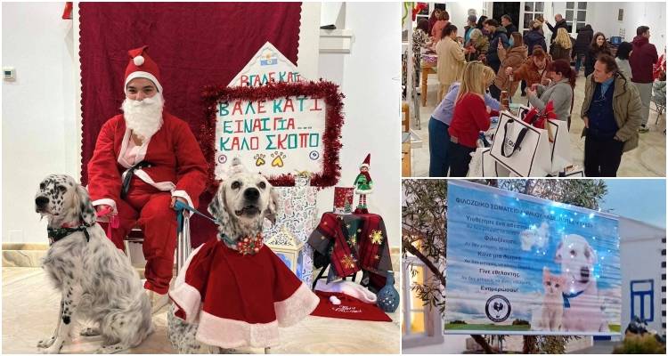 Με επιτυχία το Χριστουγεννιάτικο Bazaar για τα αδεσποτάκια της Λήμνου