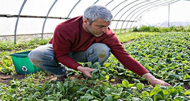&Pi;&rho;&omicron;&sigmaf; &pi;&lambda;&eta;&rho;&omega;&mu;ή 832 &alpha;&gamma;&rho;ό&tau;&epsilon;&sigmaf; &gamma;&iota;&alpha; &beta;&iota;&omicron;&lambda;&omicron;&gamma;&iota;&kappa;ή &gamma;&epsilon;&omega;&rho;&gamma;ί&alpha; &tau;&omicron;&upsilon; 2013 &sigma;&tau;&omicron; &beta;ό&rho;&epsilon;&iota;&omicron; &Alpha;&iota;&gamma;&alpha;ί&omicron;