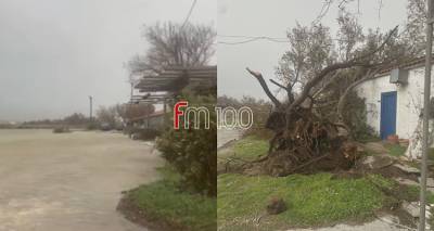 &Delta;&iota;&alpha;&pi;ό&rho;&iota; &Lambda;ή&mu;&nu;&omicron;&upsilon;: &Alpha;ί&sigma;&iota;&omicron; &tau;έ&lambda;&omicron;&sigmaf; &sigma;&tau;&omicron;&nu; &alpha;&pi;&epsilon;&gamma;&kappa;&lambda;&omega;&beta;&iota;&sigma;&mu;ό &tau;&rho;&iota;ώ&nu; &alpha;&tau;ό&mu;&omega;&nu;