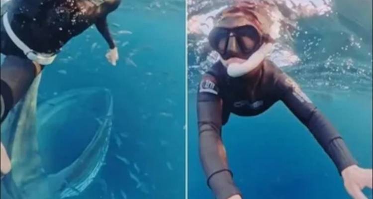 Απίστευτο βίντεο: Φάλαινα παραλίγο να καταπιεί ολόκληρη μια δύτρια στη Νορβηγία [βίντεο]