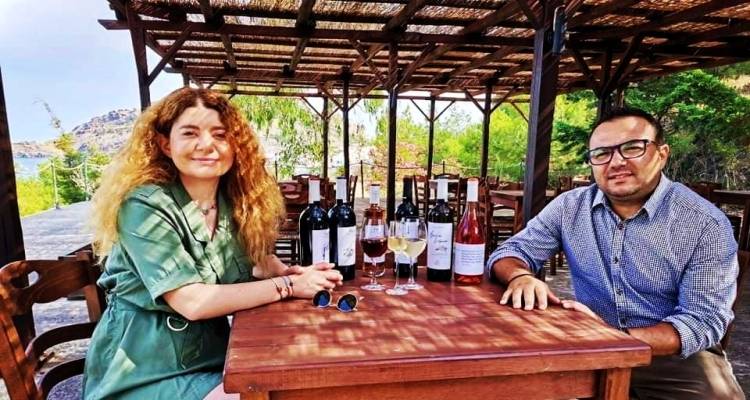 &Delta;. &Kappa;&rho;ά&sigma;&sigma;&omicron;&sigmaf;: &laquo;&Mu;&epsilon;&iota;&omega;&mu;έ&nu;&eta; &eta; &pi;&alpha;&rho;ά&gamma;&omega;&gamma;ή &epsilon;&xi;&alpha;&iota;&rho;&epsilon;&tau;&iota;&kappa;ά ό&mu;&omega;&sigmaf; &tau;&alpha; &sigma;&tau;&alpha;&phi;ύ&lambda;&iota;&alpha;&raquo;