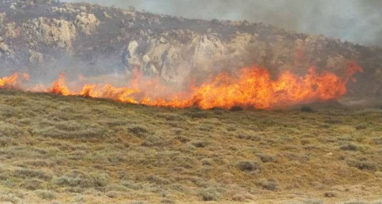Ξεκίνησε η καταγραφή των ζημιών από την μεγάλη πυρκαγιά στη Λήμνο