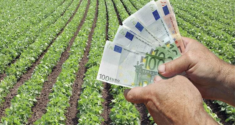&Omicron;&iota; &alpha;&gamma;&rho;ό&tau;&epsilon;&sigmaf; &pi;&lambda;&eta;&rho;ώ&nu;&omicron;&upsilon;&nu; &tau;&alpha; &lsquo;&delta;ώ&rho;&alpha;&rsquo; &Chi;&alpha;&tau;&zeta;&eta;&gamma;ά&kappa;&eta;