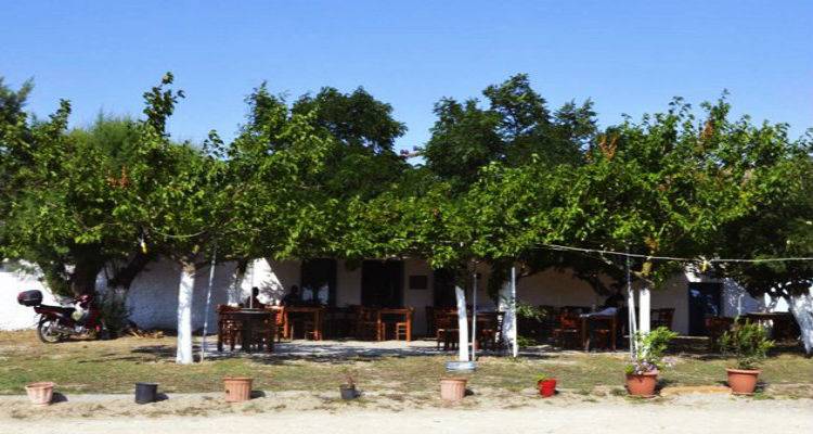 Ό&tau;&alpha;&nu; &omicron;&upsilon;&zeta;&epsilon;&rho;ί &tau;&eta;&sigmaf; &Lambda;ή&mu;&nu;&omicron;&upsilon; &kappa;&epsilon;&rho;&delta;ί&zeta;&epsilon;&iota; &tau;&iota;&sigmaf; &epsilon;&nu;&tau;&upsilon;&pi;ώ&sigma;&epsilon;&iota;&sigmaf; | A&phi;&iota;έ&rho;&omega;&mu;&alpha; &tau;&omicron;&upsilon; Athnesvoice