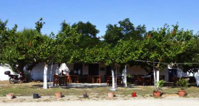 Ό&tau;&alpha;&nu; &omicron;&upsilon;&zeta;&epsilon;&rho;ί &tau;&eta;&sigmaf; &Lambda;ή&mu;&nu;&omicron;&upsilon; &kappa;&epsilon;&rho;&delta;ί&zeta;&epsilon;&iota; &tau;&iota;&sigmaf; &epsilon;&nu;&tau;&upsilon;&pi;ώ&sigma;&epsilon;&iota;&sigmaf; | A&phi;&iota;έ&rho;&omega;&mu;&alpha; &tau;&omicron;&upsilon; Athnesvoice