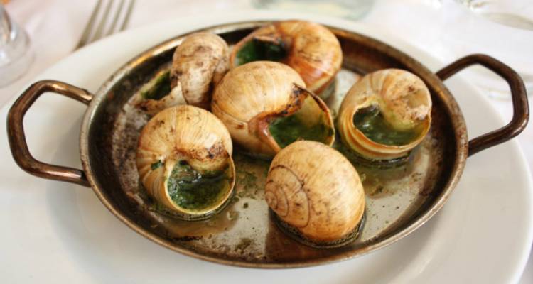 &Chi;&alpha;&beta;&iota;ά&rho;&iota; &sigma;&alpha;&lambda;&iota;&gamma;&kappa;&alpha;&rho;&iota;&omicron;ύ &alpha;&pi;ό &tau;&eta; &Lambda;ή&mu;&nu;&omicron; &sigma;&tau;&alpha; &kappa;&alpha;&lambda;&upsilon;&tau;έ&rho;&alpha; &tau;&rho;&alpha;&pi;έ&zeta;&iota;&alpha; &tau;&omicron;&upsilon; &kappa;ό&sigma;&mu;&omicron;&upsilon; (photos)